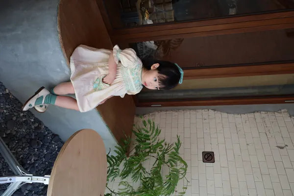 小旭市集] Soor Ploom - Birdie Tunic | Chambray - 3y / 100cm